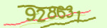 Mã bảo mật